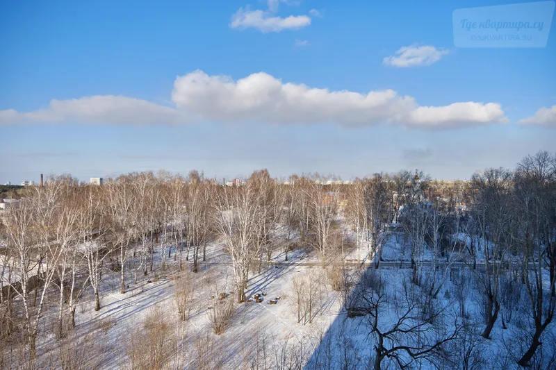 Фото квартиры 23
