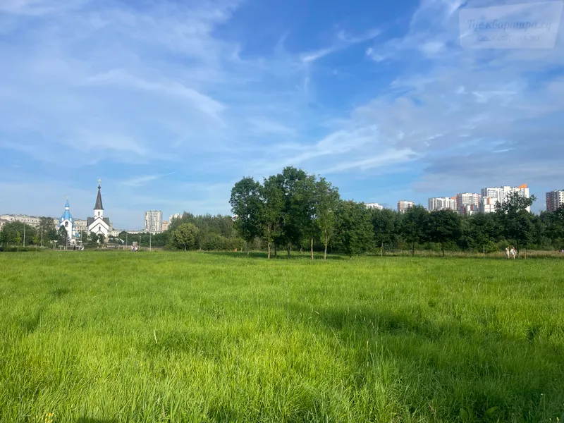 Фото квартиры: Пулковское шоссе, 14с6