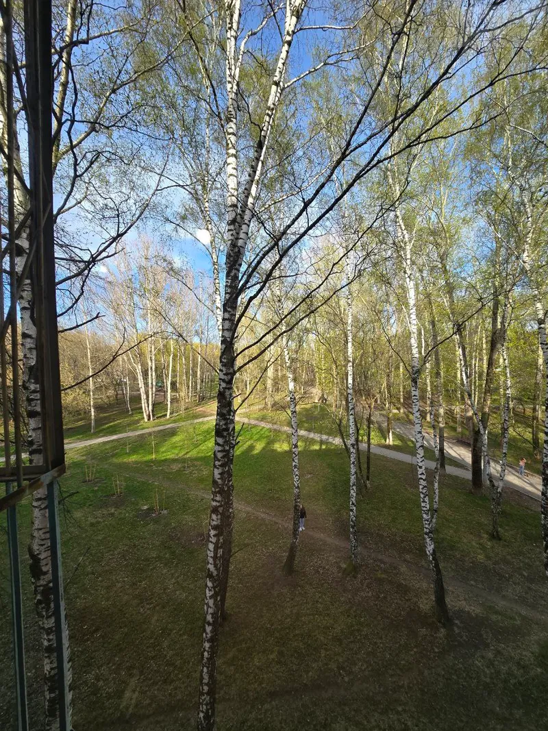 Фото квартиры 14