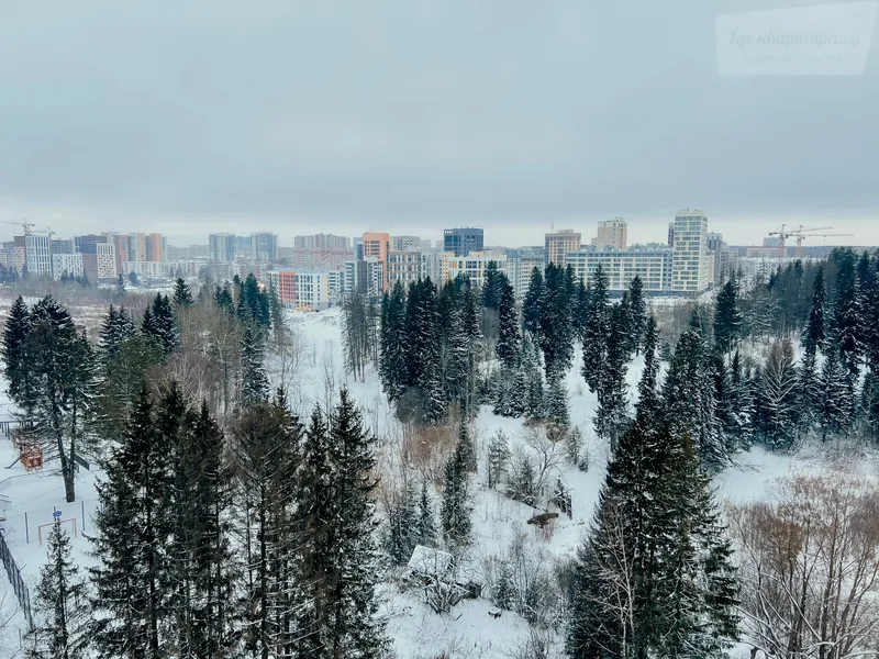 Фото квартиры 25