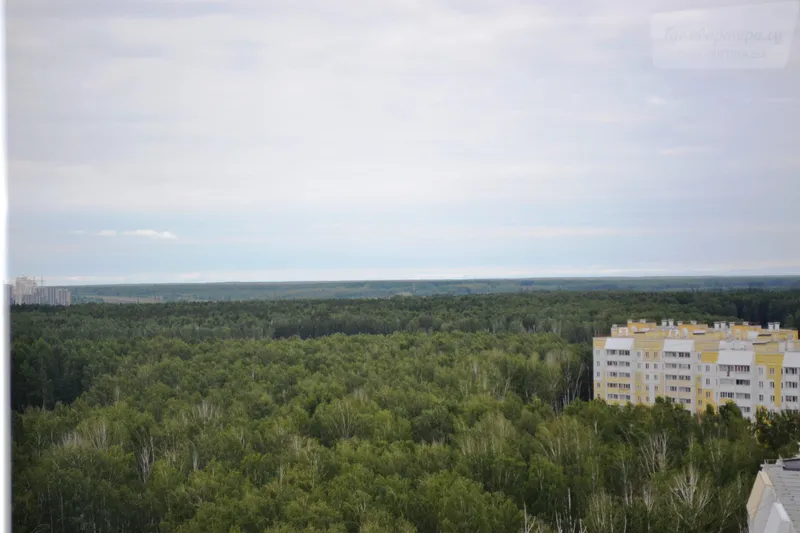 Фото квартиры 18
