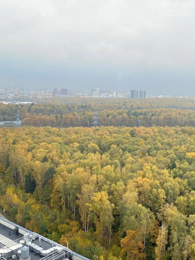 Фото квартиры 12