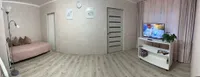 Миниатюра квартиры 2