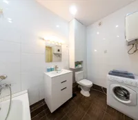 Миниатюра квартиры 19
