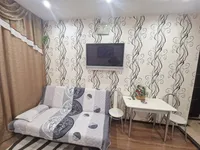 Миниатюра квартиры 3
