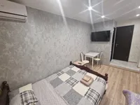 Миниатюра квартиры 4