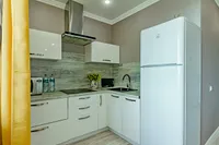 Миниатюра квартиры 24