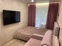 Миниатюра квартиры 8