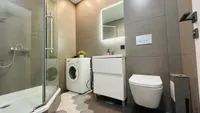 Миниатюра квартиры 15