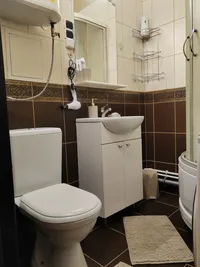 Миниатюра квартиры 10