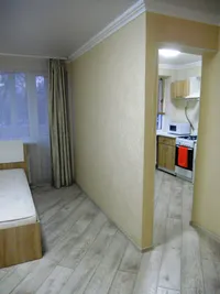 Миниатюра квартиры 2