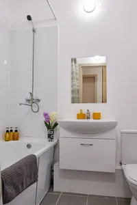 Миниатюра квартиры 11