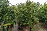 Миниатюра квартиры 6