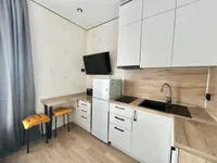 Миниатюра квартиры 4
