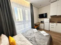 Миниатюра квартиры 8