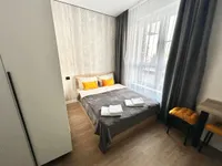 Миниатюра квартиры 9