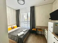 Миниатюра квартиры 11
