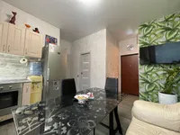 Миниатюра квартиры 4