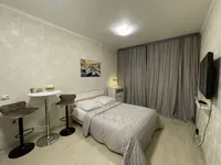 Миниатюра квартиры 1