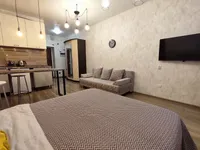 Миниатюра квартиры 11