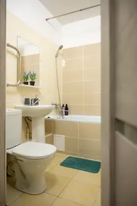 Миниатюра квартиры 15
