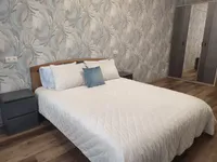 Миниатюра квартиры 4
