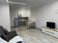 Миниатюра квартиры 11