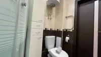 Миниатюра квартиры 10