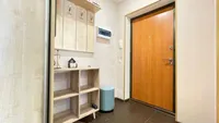 Миниатюра квартиры 29