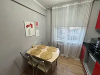 Миниатюра квартиры 3