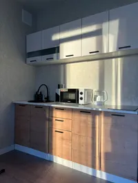 Миниатюра квартиры 3