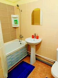 Миниатюра квартиры 30