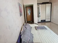 Миниатюра квартиры 2
