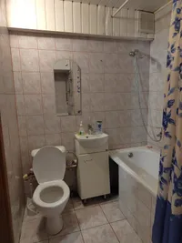 Миниатюра квартиры 12