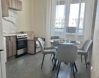 Миниатюра квартиры 13