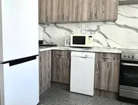 Миниатюра квартиры 15