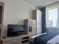 Миниатюра квартиры 30