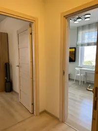 Миниатюра квартиры 20