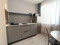 Миниатюра квартиры 9