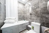 Миниатюра квартиры 21