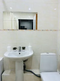 Миниатюра квартиры 9