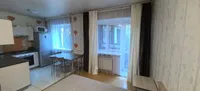 Миниатюра квартиры 11