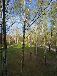 Миниатюра квартиры 14