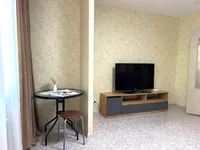 Миниатюра квартиры 5