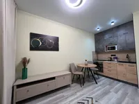 Миниатюра квартиры 8
