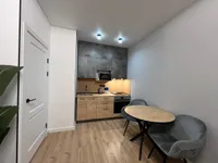 Миниатюра квартиры 12