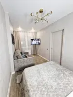 Миниатюра квартиры 5