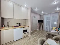 Миниатюра квартиры 10