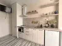 Миниатюра квартиры 1