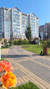 Миниатюра квартиры 18